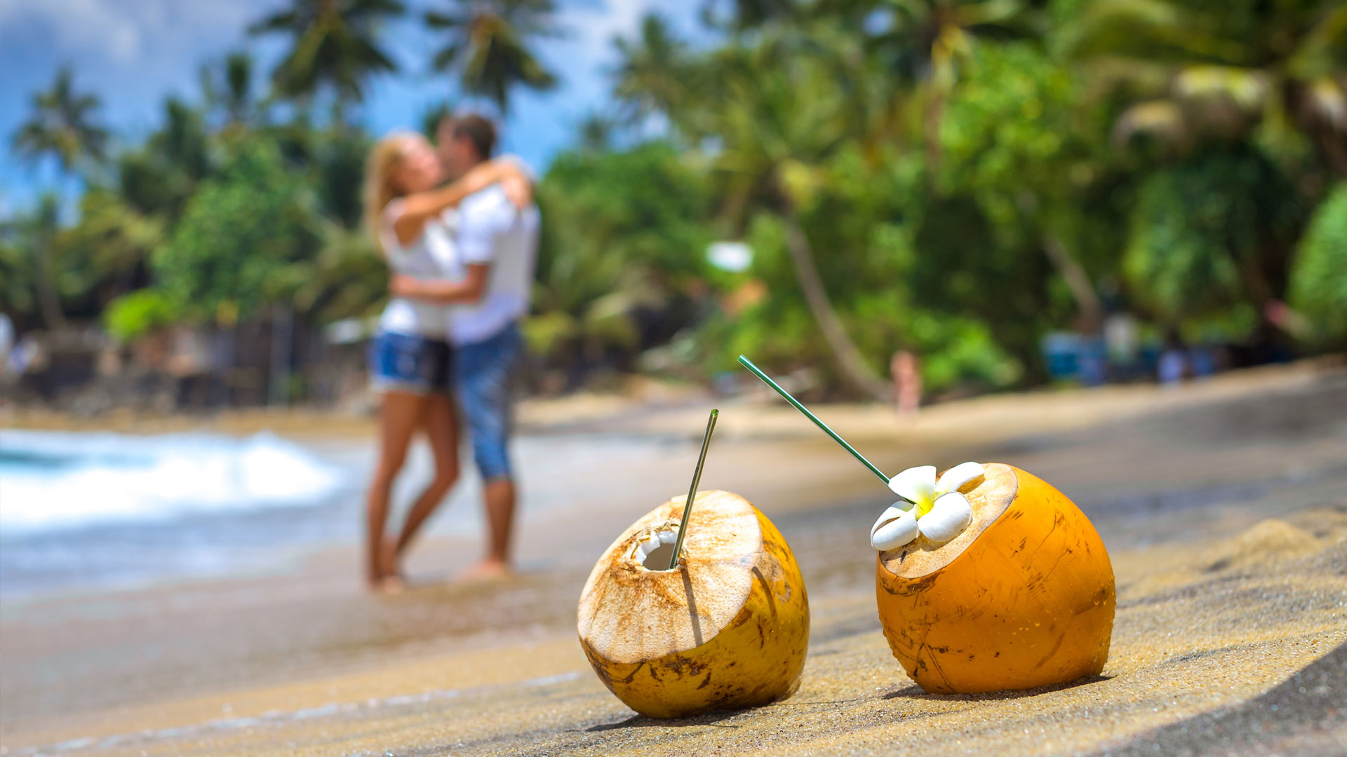 Ceylona Destinations